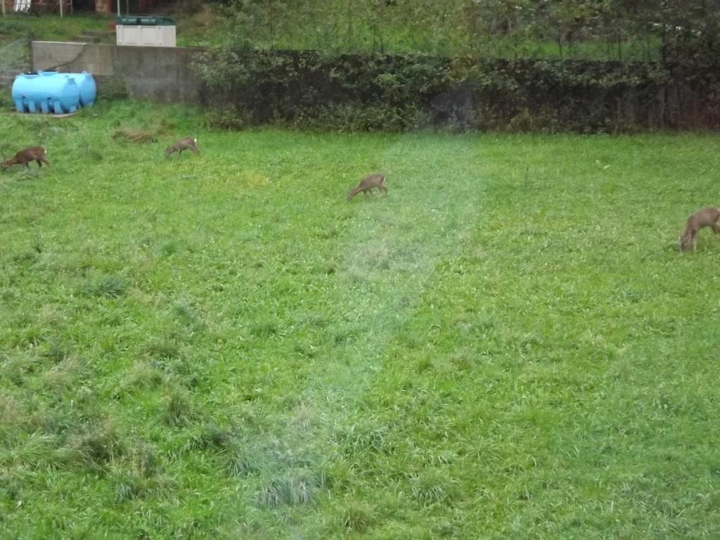 Albergo Ristorante Turchino Campo Ligure Kültér fotó